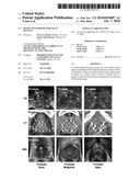 Seeds and Markers for Use in Imaging diagram and image