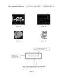 Seeds and Markers for Use in Imaging diagram and image