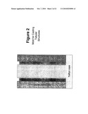 Biocompatible polymers and Methods of use diagram and image