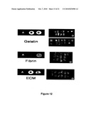 Biocompatible polymers and Methods of use diagram and image