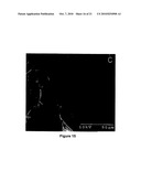 Biocompatible polymers and Methods of use diagram and image