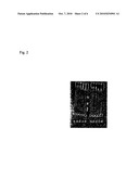 Compositions comprising nucleic acid aptamers diagram and image