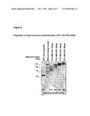 PEG-MODIFIED ARGININE/LYSINE OXIDOREDUCTASE diagram and image