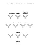 METHOD FOR MAKING HETEROMULTIMERIC POLYPEPTIDES diagram and image