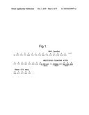 POLYPEPTIDES, ANTIBODY VARIABLE DOMAINS AND ANTAGONISTS diagram and image