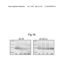 POLYPEPTIDES, ANTIBODY VARIABLE DOMAINS AND ANTAGONISTS diagram and image