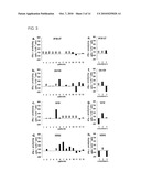 METHOD FOR INDUCING CYTOTOXIC T-CELLS, CYTOTOXIC T-CELL INDUCERS, AND PHARMACEUTICAL COMPOSITIONS AND VACCINES EMPLOYING THEM diagram and image