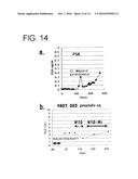 METHOD FOR INDUCING CYTOTOXIC T-CELLS, CYTOTOXIC T-CELL INDUCERS, AND PHARMACEUTICAL COMPOSITIONS AND VACCINES EMPLOYING THEM diagram and image