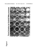 Flavivirus Vaccine Vector Against Influenza Virus diagram and image