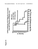 Flavivirus Vaccine Vector Against Influenza Virus diagram and image