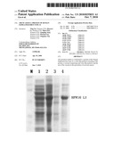  TRUNCATED L1 PROTEIN OF HUMAN PAPILLOMAVIRUS TYPE 16 diagram and image