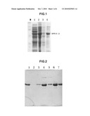  TRUNCATED L1 PROTEIN OF HUMAN PAPILLOMAVIRUS TYPE 16 diagram and image