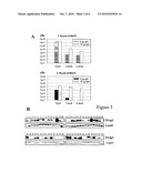 Streptococcus Pyogenes Antigens diagram and image