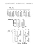 REMEDY FOR THE TREATMENT OF CARDIO-VASCULAR DISEASES OR DISORDERS diagram and image