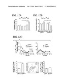 REMEDY FOR THE TREATMENT OF CARDIO-VASCULAR DISEASES OR DISORDERS diagram and image