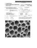 Process for Producing Particles Loaded with Growth Factors as Well as the Particles Thus Obtained diagram and image