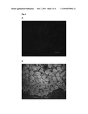 Process for Producing Particles Loaded with Growth Factors as Well as the Particles Thus Obtained diagram and image