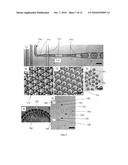 Artificial micro-gland diagram and image