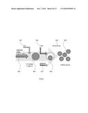 Artificial micro-gland diagram and image