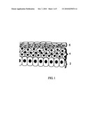 COMPOSITIONS AND METHODS FOR PREVENTING, MINIMIZING AND HEALING SKIN IRRITATION AND TRAUMA diagram and image