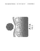 Liposomal ALA pharmaceutical and cosmeceutical compositions and methods of treatment diagram and image