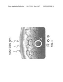 Liposomal ALA pharmaceutical and cosmeceutical compositions and methods of treatment diagram and image