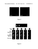 Mesoporous Silica Nanoparticles for Biomedical Applications diagram and image