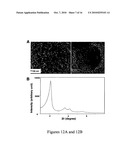 Mesoporous Silica Nanoparticles for Biomedical Applications diagram and image