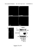 Mesoporous Silica Nanoparticles for Biomedical Applications diagram and image