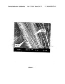 Three-Dimensional Carbon Fibers and Method and Apparatus for their Production diagram and image