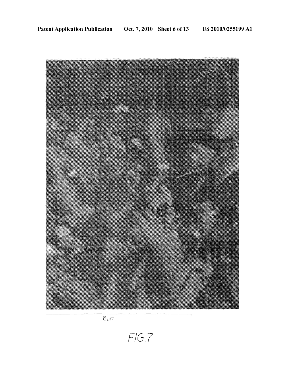ALUMINA COATING, COATED PRODUCT AND METHOD OF MAKING THE SAME - diagram, schematic, and image 07