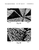 PLASMA TREATED ABRASIVE ARTICLE AND METHOD OF MAKING SAME diagram and image