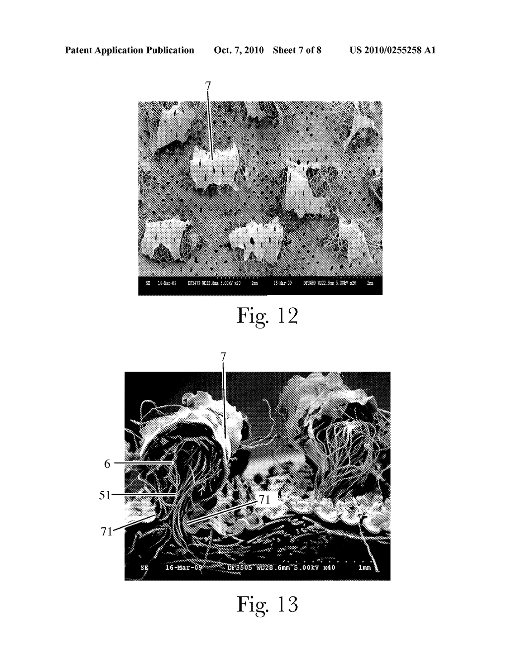 CAPPED TUFTED LAMINATE WEB - diagram, schematic, and image 08