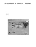 DENTAL DIAGNOSTIC SYSTEM BY MEANS OF OPTICAL COHERENCE TOMOGRAPHY diagram and image