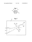 Nucleic Acid-Polymer Particle for and Method of Tracing Movement of a Liquid diagram and image