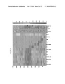 Single cell gene expression for diagnosis, prognosis and identification of drug targets diagram and image