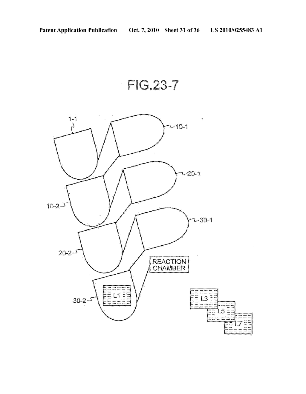 LIQUID-FEEDING CHIP AND ANALYSIS METHOD - diagram, schematic, and image 32