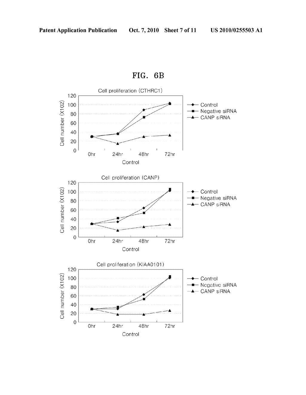 MARKERS FOR DIAGNOSIS OF CANCER AND ITS USE - diagram, schematic, and image 08