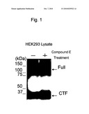 Screening Method Utilizing Novel Substrate EphA7 for Gamma-Secretase diagram and image