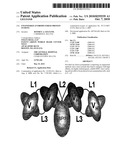 Engineered Antibody-Stress Protein Fusions diagram and image