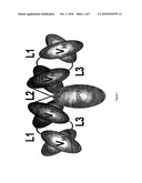 Engineered Antibody-Stress Protein Fusions diagram and image