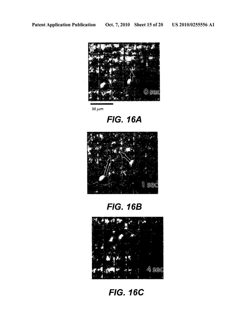 METHODS AND APPARATUS FOR MANIPULATION OF FLUIDIC SPECIES - diagram, schematic, and image 16