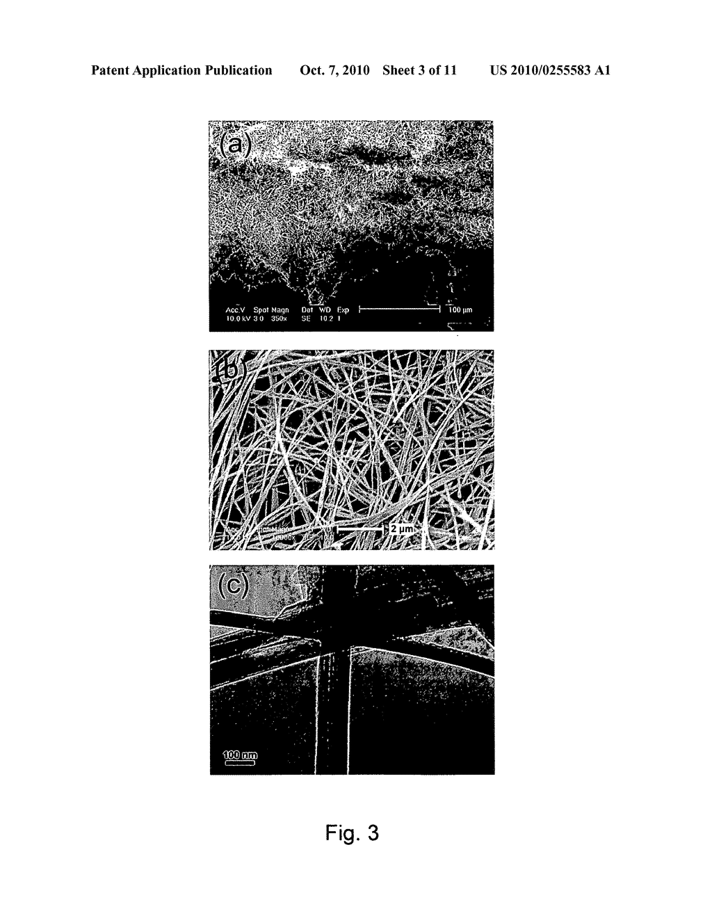 TiO2 nanostructures, membranes and films, and applications of same - diagram, schematic, and image 04