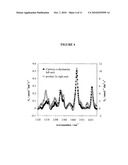 SURFACE ENHANCED RESONANCE RAMAN SCATTERING SPECTROSCOPY (SERRS) NANOPARTICLE PROBES AND METHODS OF USE diagram and image