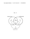 Genes Based on Thalidomide, Valproic Acid and Methotrexate Treatment for Screening of Drug Inducing Teratogenicity and Screening Method Using Thereof diagram and image