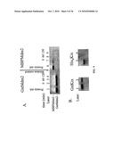 Methods and Compositions Comprising Capture Agents diagram and image