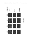 Methods and Compositions Comprising Capture Agents diagram and image