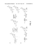 NEOGLYCORANDOMIZATION AND DIGITOXIN ANALOGS diagram and image