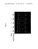 Toll-Like Receptor Agonist Regulation of VEGF-Induced Tissue Responses diagram and image