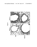 Toll-Like Receptor Agonist Regulation of VEGF-Induced Tissue Responses diagram and image